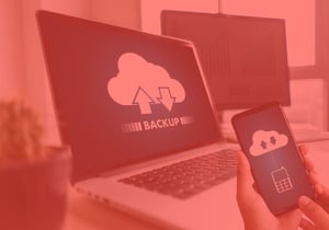 Backup Assessment and Recovery